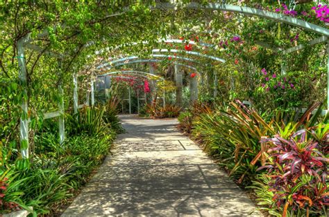 The Stories Behind Naples DFL's Endangered Magical Flowers